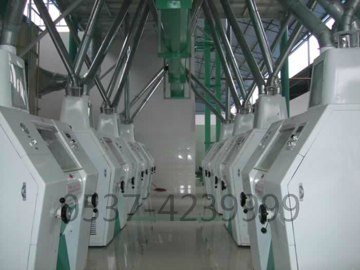 云南100吨大米成套设备成功案例